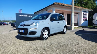 Fiat Panda 1.2 Easy del 2017 usata a Empoli
