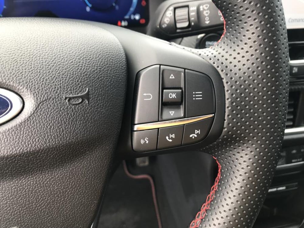 Ford Puma usata a Cuneo (19)
