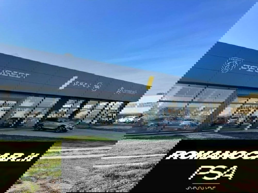 Mg ZS (2021-->) usata a Foggia (4)
