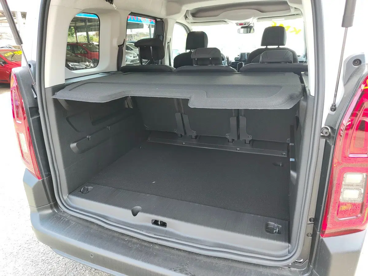 Fiat Doblò nuova a Torino (11)