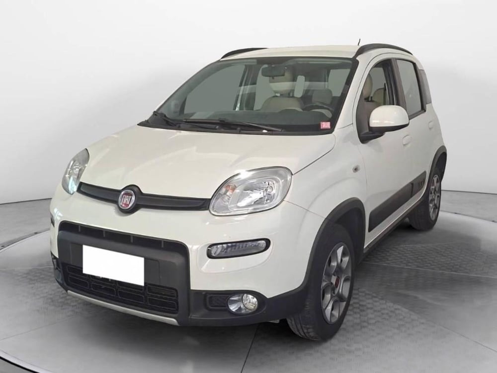 Fiat Panda usata a Torino