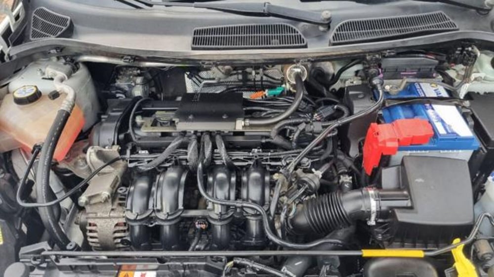 Ford Fiesta usata a Savona (12)
