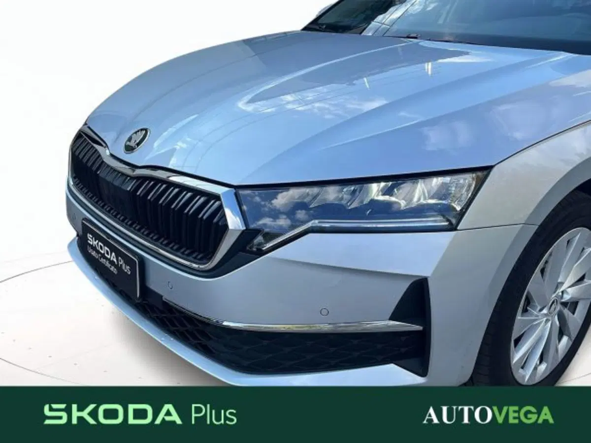 Skoda Octavia Station Wagon usata a Vicenza (16)