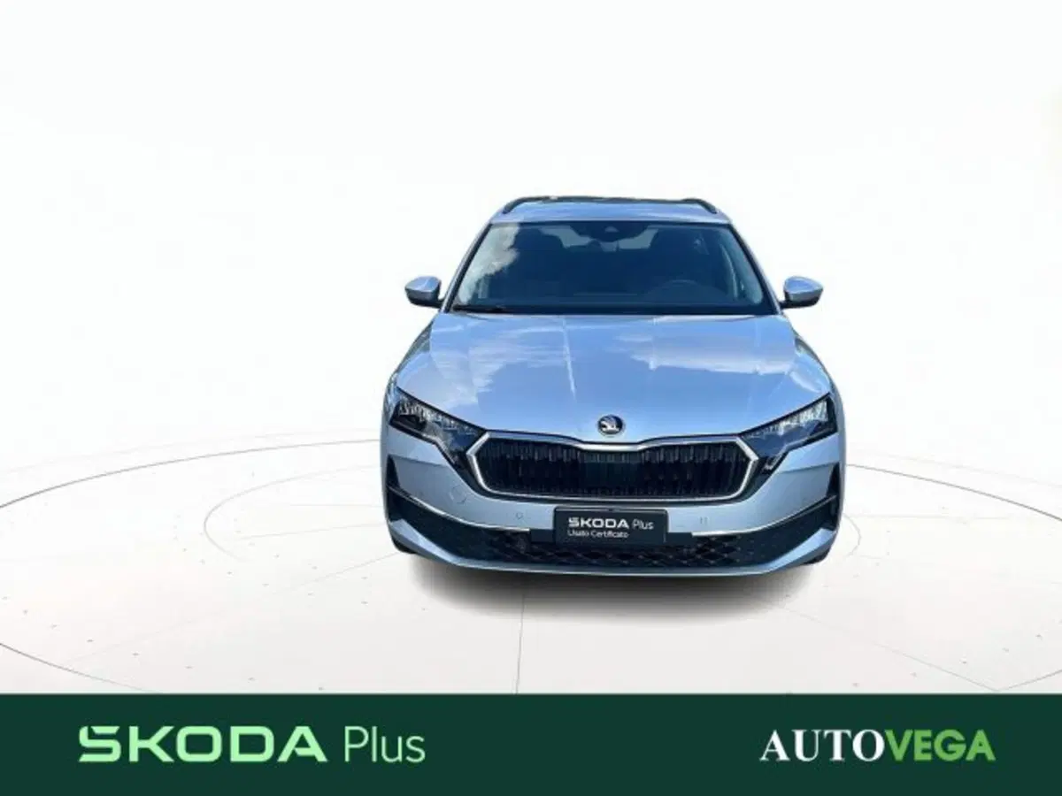 Skoda Octavia Station Wagon usata a Vicenza (2)