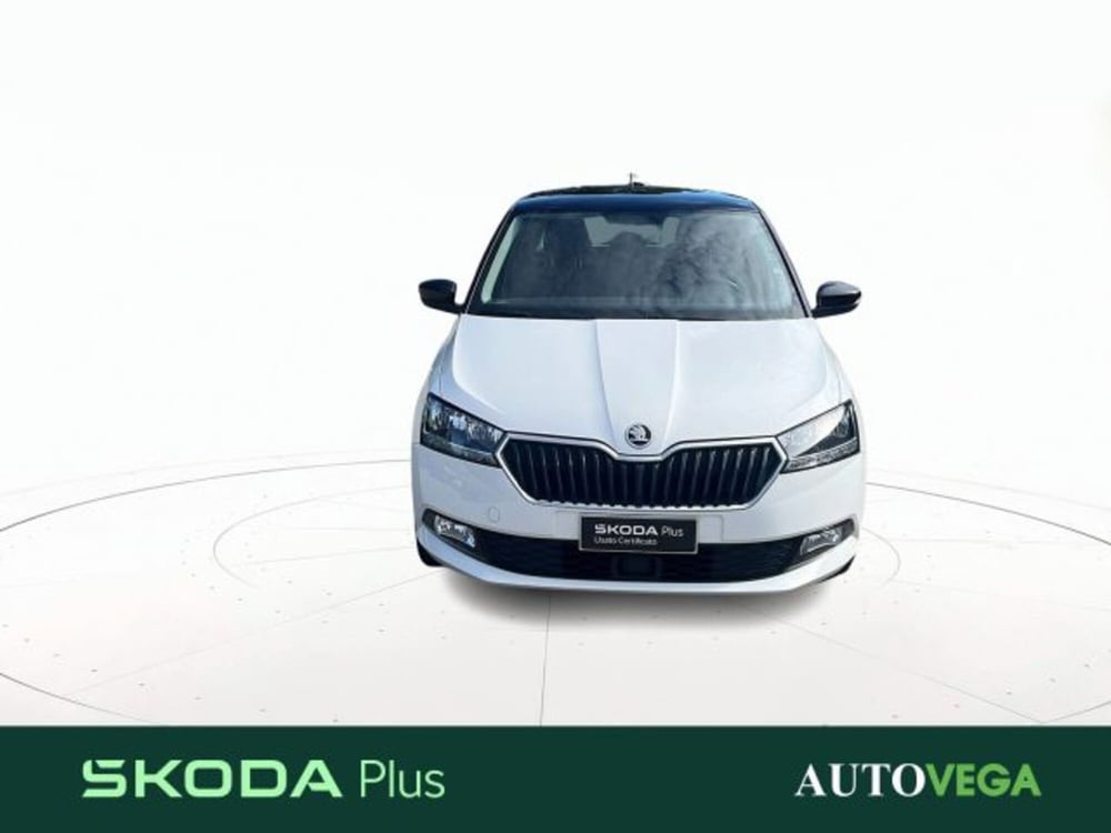 Skoda Fabia usata a Vicenza (2)