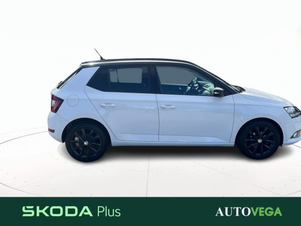 Skoda Fabia usata a Vicenza (3)