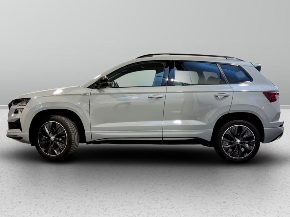 Skoda Karoq usata a Padova (2)