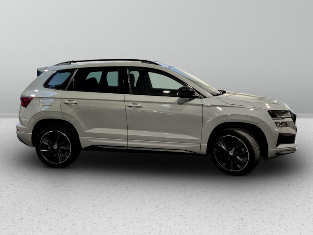 Skoda Karoq usata a Padova (5)