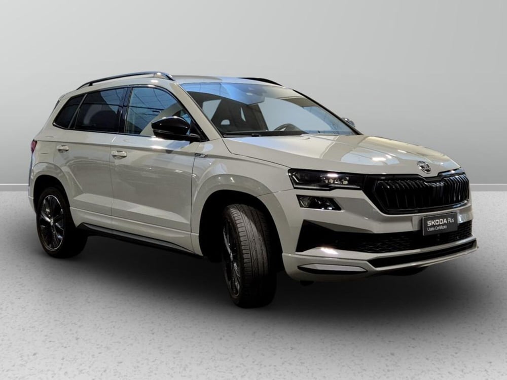 Skoda Karoq usata a Padova (6)