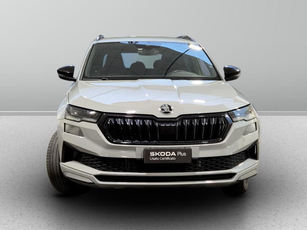 Skoda Karoq usata a Padova (7)