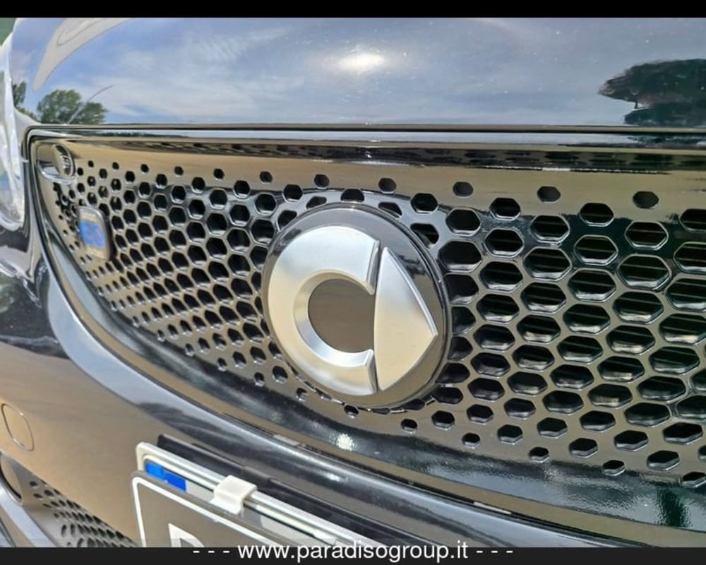 smart Fortwo usata a Catanzaro (10)