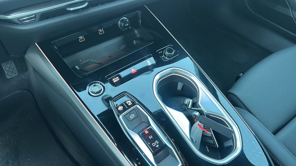 Audi A6 nuova a La Spezia (14)