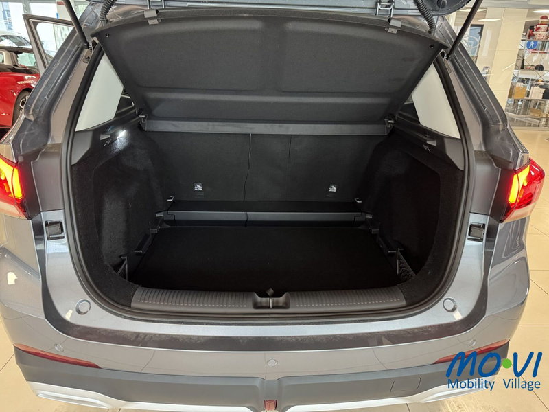 Mg ZS nuova a Torino (7)