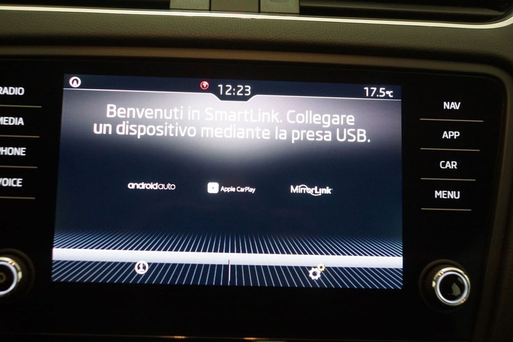 Skoda Octavia Station Wagon usata a Torino (18)