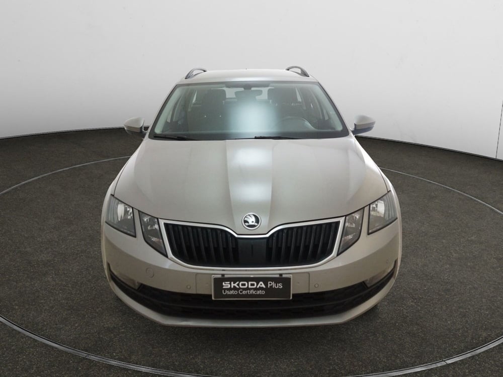 Skoda Octavia Station Wagon usata a Torino (2)