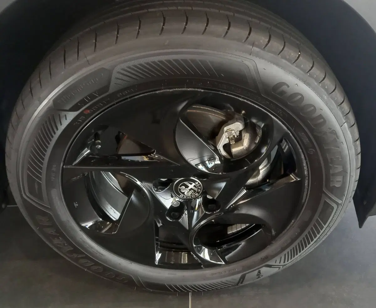 Alfa Romeo Junior nuova a Treviso (18)