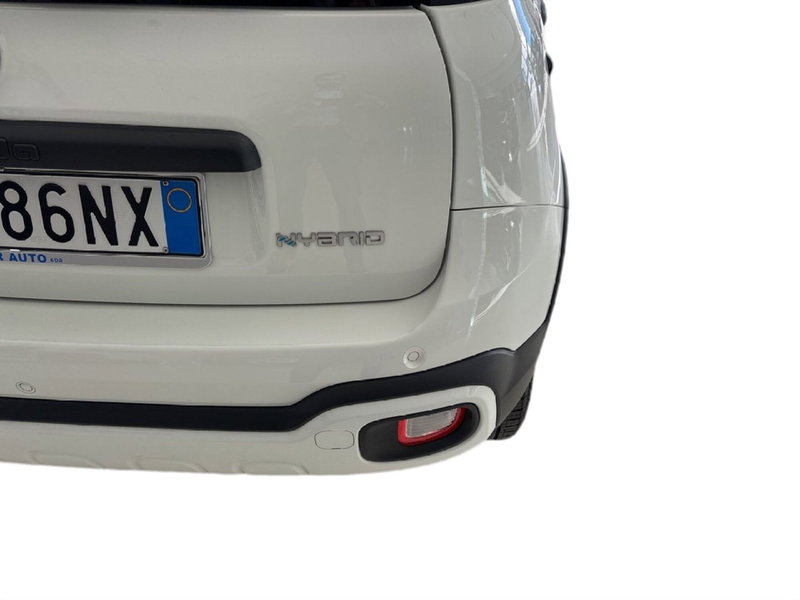 Fiat Panda Cross usata a Arezzo (10)