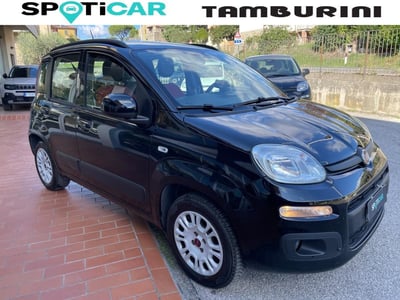 Fiat Panda 1.2 Lounge del 2020 usata a Cortona