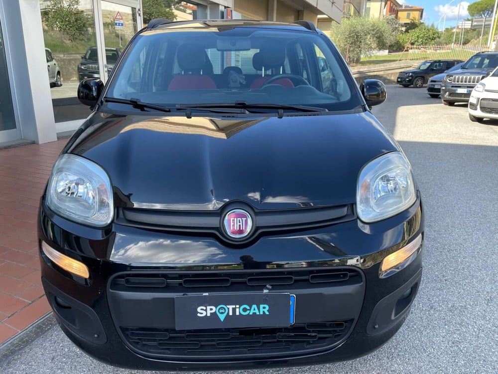 Fiat Panda usata a Arezzo (3)