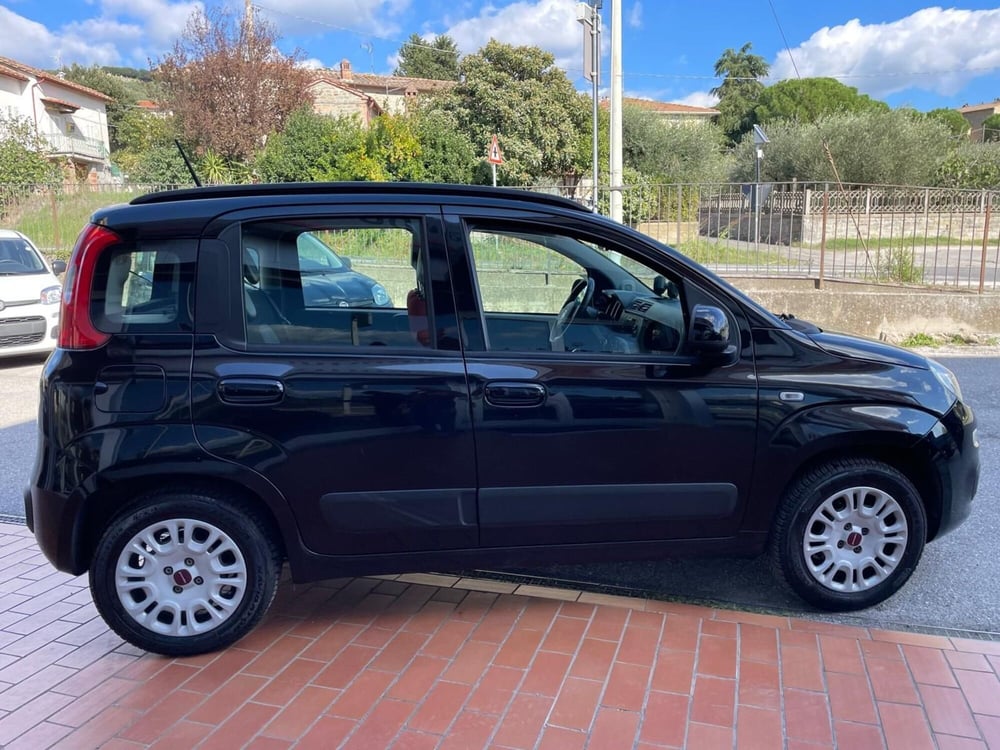 Fiat Panda usata a Arezzo (4)