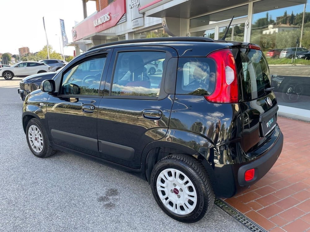 Fiat Panda usata a Arezzo (7)