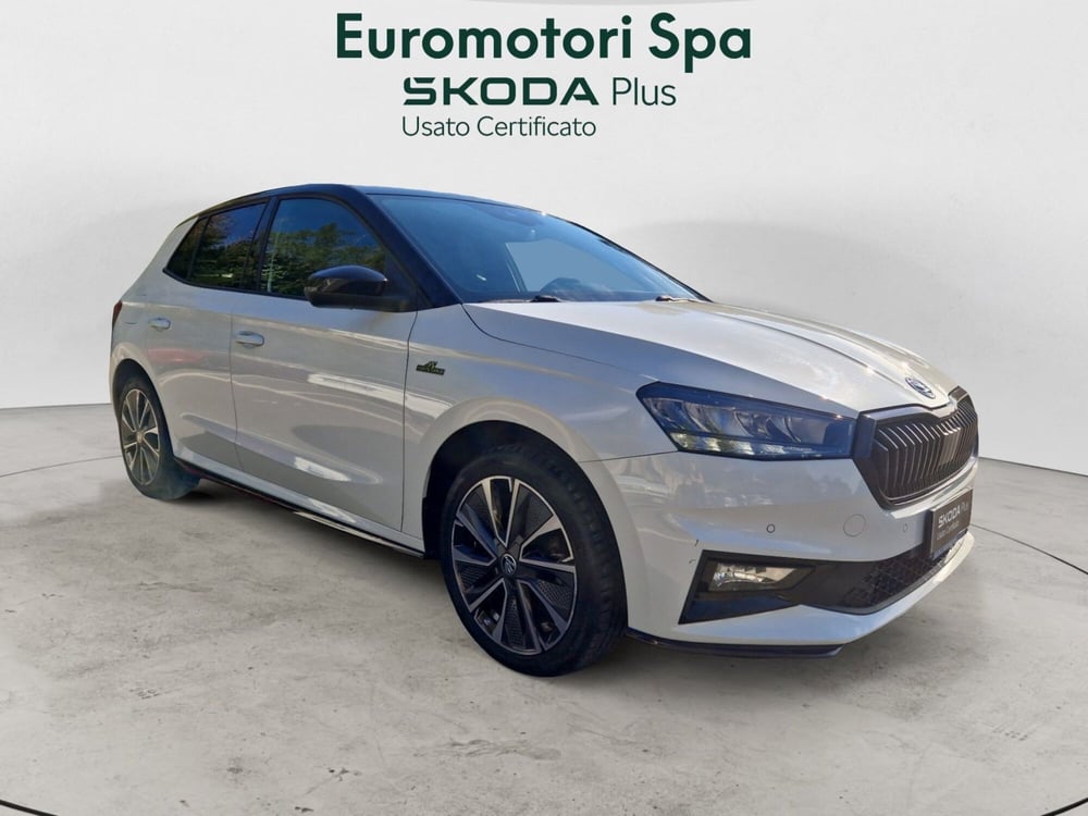 Skoda Fabia usata a Siena (7)