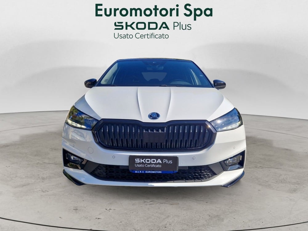 Skoda Fabia usata a Siena (8)