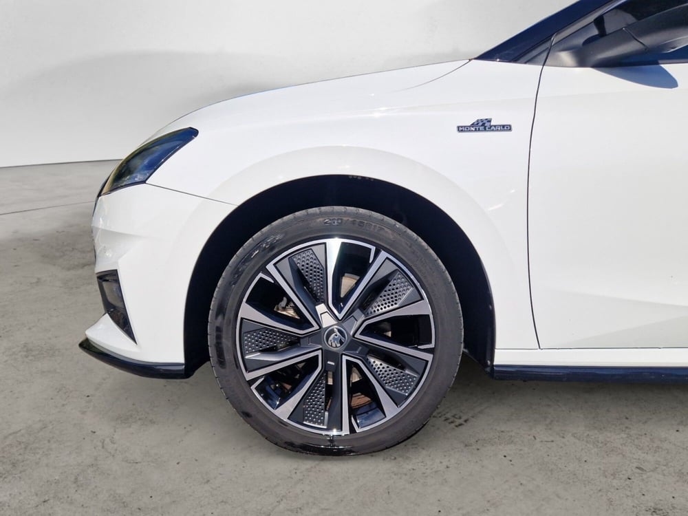 Skoda Fabia usata a Siena (9)