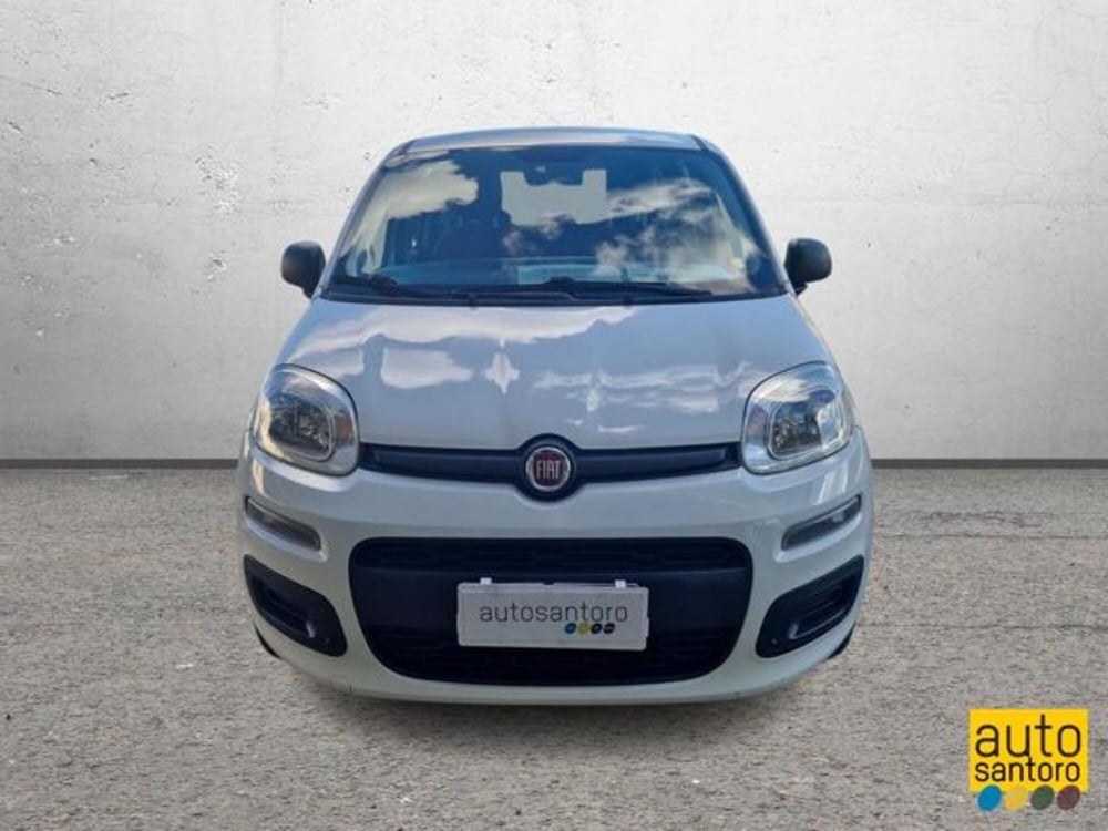 Fiat Panda usata a Salerno (5)