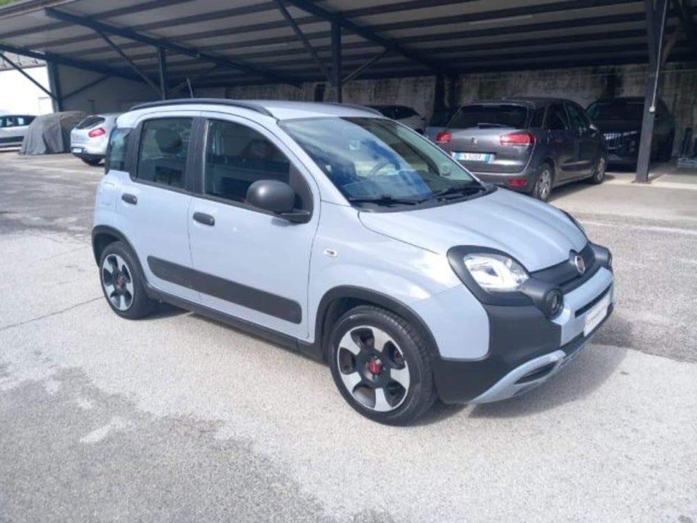 Fiat Panda Cross nuova a Potenza (6)