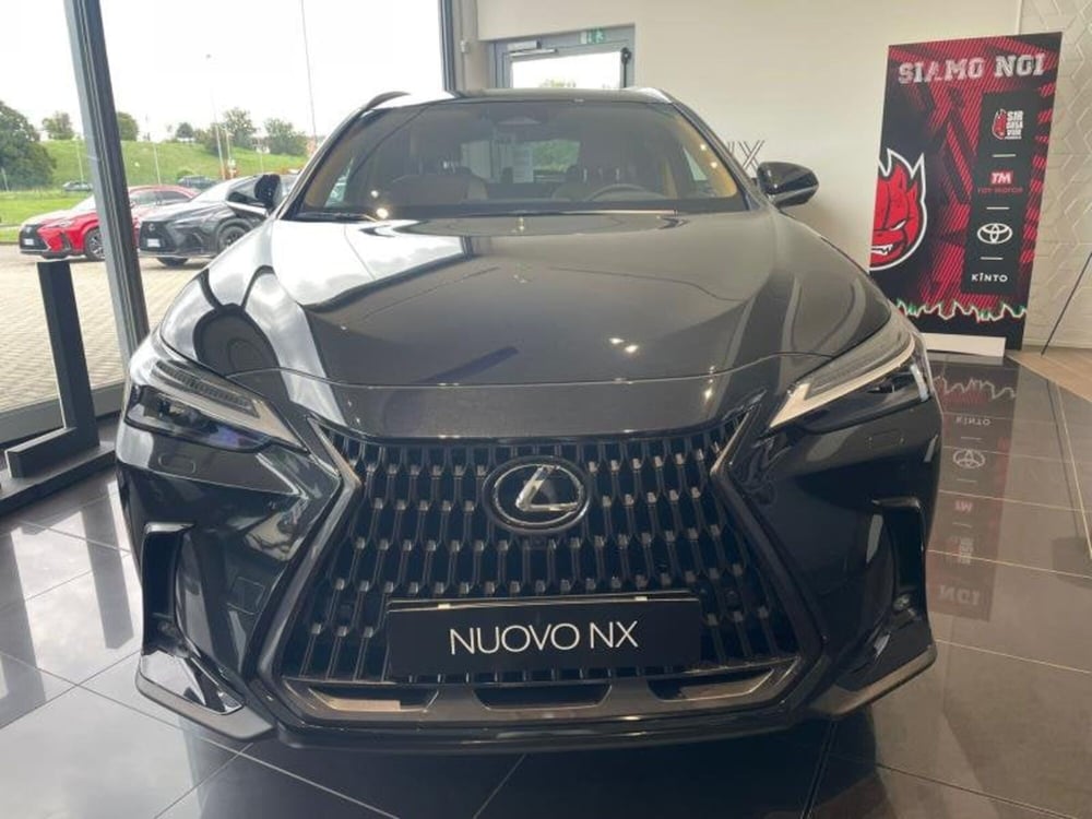 Lexus NX nuova a Perugia (2)
