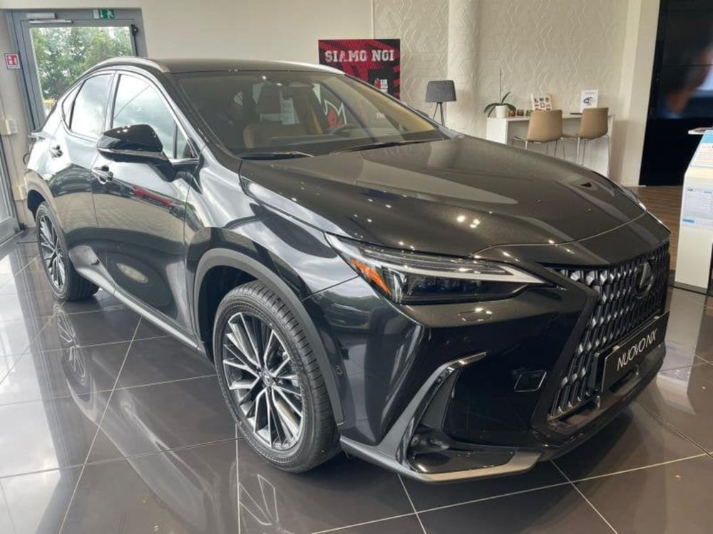 Lexus NX nuova a Perugia (3)