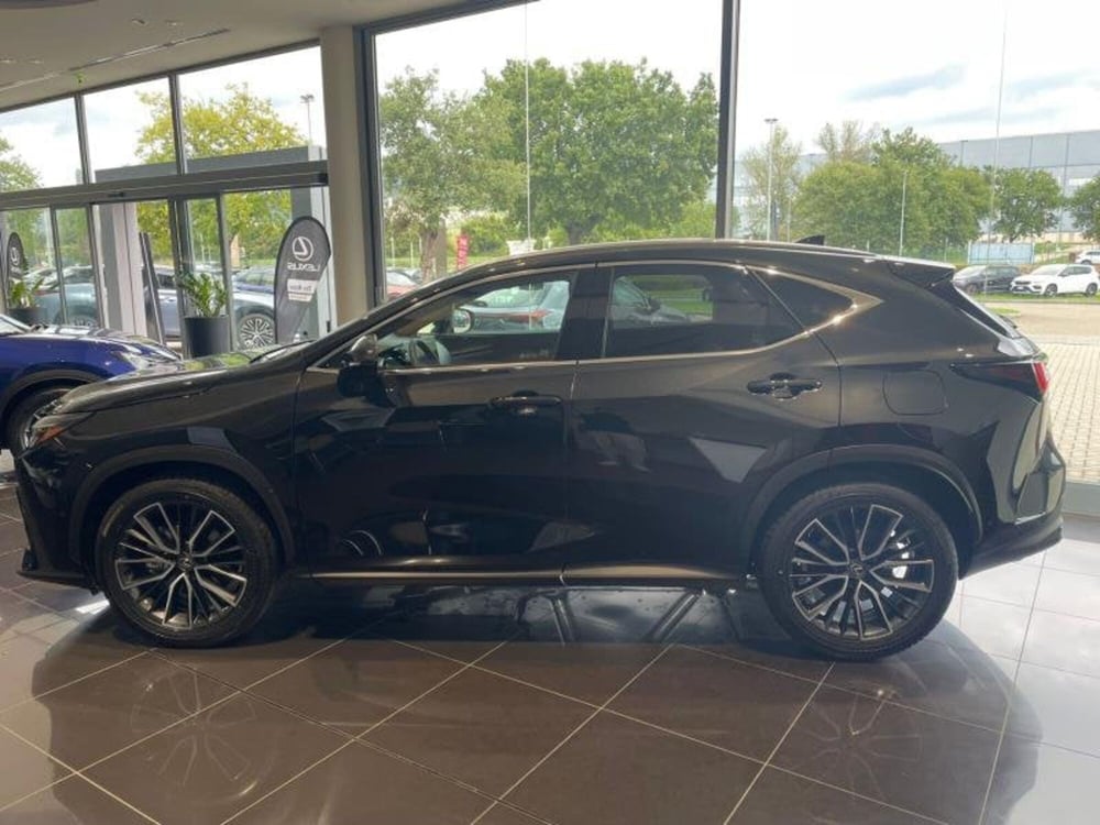 Lexus NX nuova a Perugia (4)