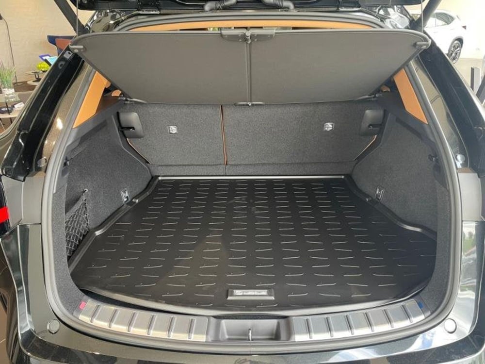 Lexus NX nuova a Perugia (6)