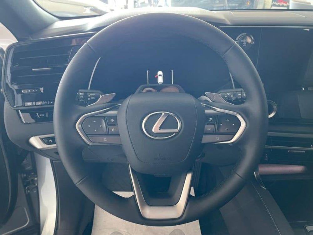 Lexus RX nuova a Perugia (9)
