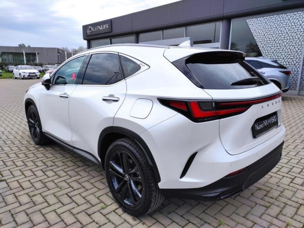 Lexus NX nuova a Perugia (4)