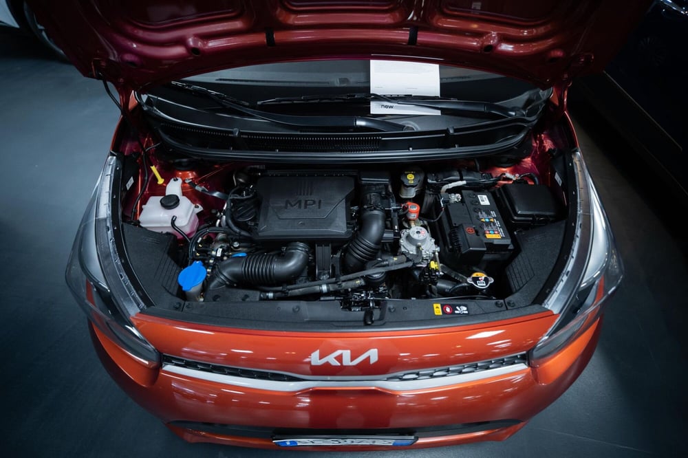 Kia Picanto usata a Torino (13)