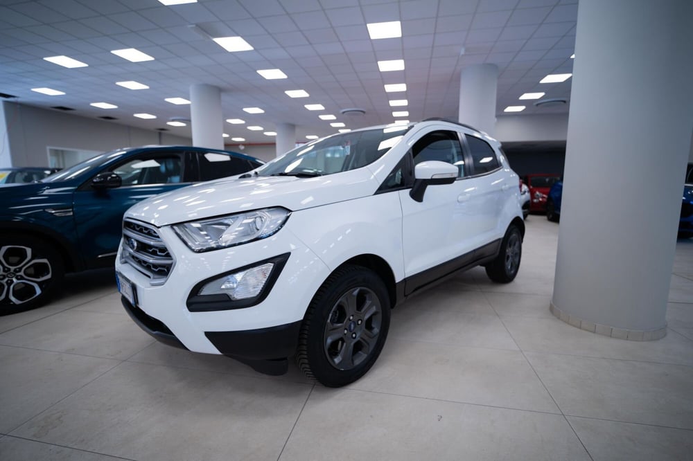 Ford EcoSport usata a Torino