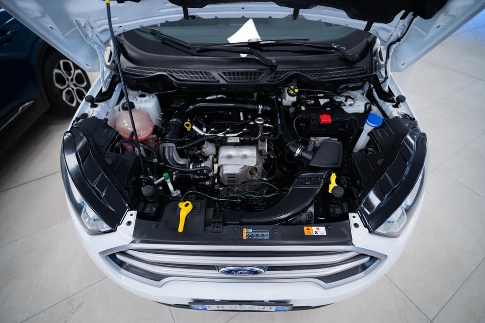 Ford EcoSport usata a Torino (13)