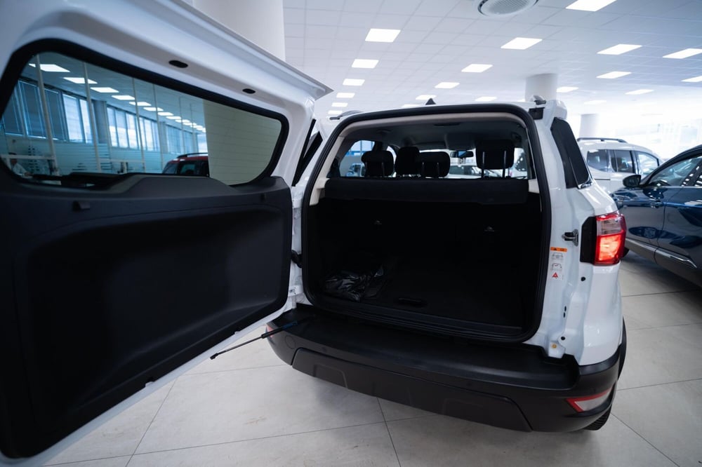 Ford EcoSport usata a Torino (14)