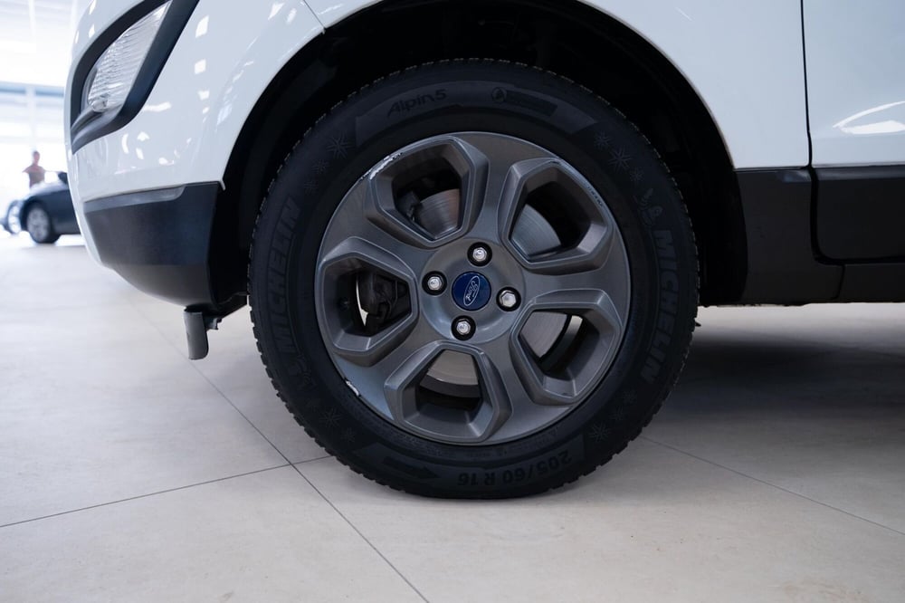 Ford EcoSport usata a Torino (15)
