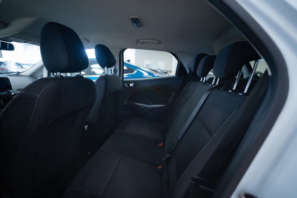 Ford EcoSport usata a Torino (8)
