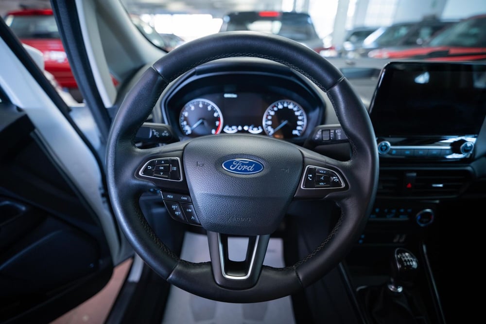 Ford EcoSport usata a Torino (12)