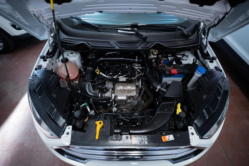 Ford EcoSport usata a Torino (13)