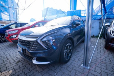 Kia Sportage 1.6 TGDi MHEV Business del 2022 usata a Rivoli