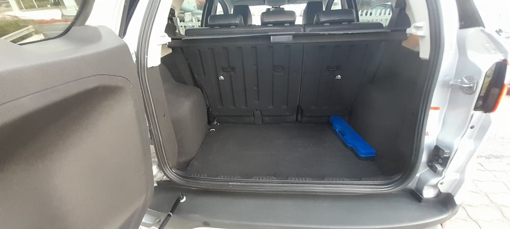 Ford EcoSport usata a Cosenza (10)