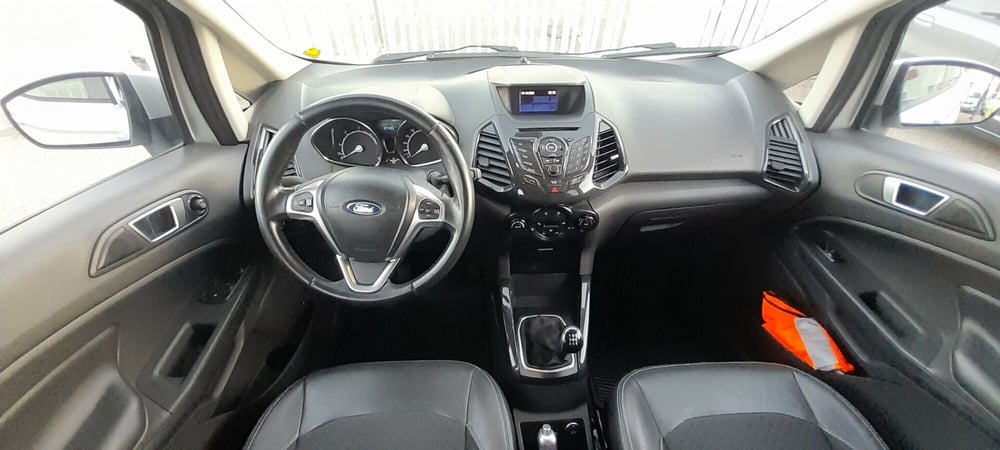 Ford EcoSport usata a Cosenza (11)