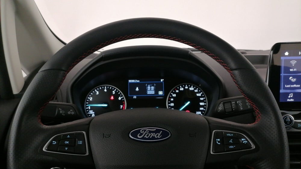 Ford EcoSport usata a Roma (19)