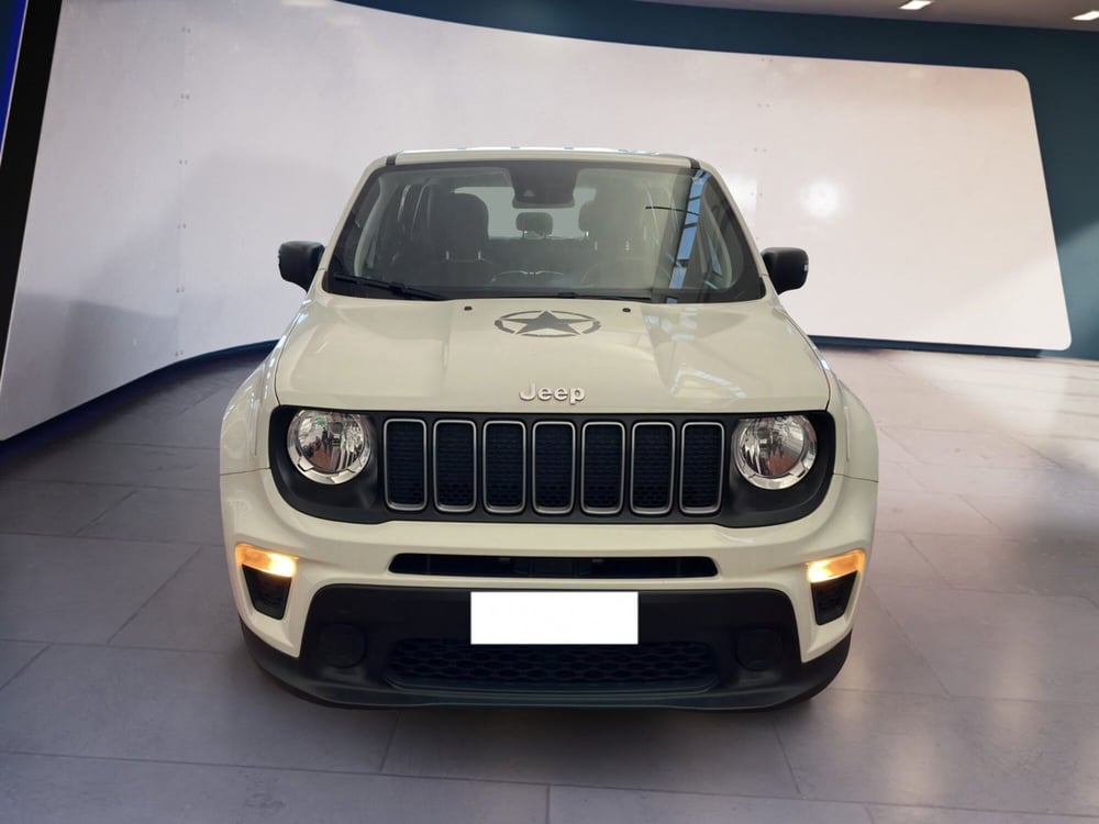 Jeep Renegade usata a Torino