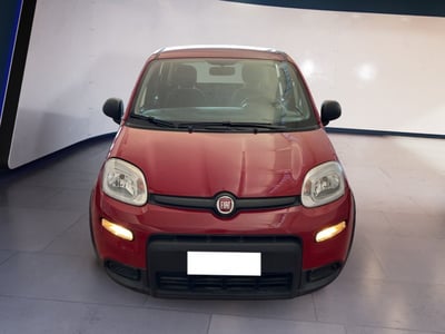 Fiat Panda 1.0 firefly hybrid s&amp;s 70cv 5p.ti del 2024 usata a Torino
